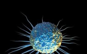 Քաղցկեղի բուժման արդյունավետությունն ուղիղ համեմատական է  վաղ դիմելիությանը